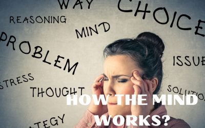 How the mind works – Saturday March 19th 14:00